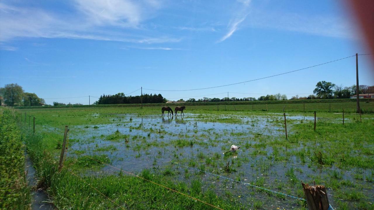 Affittacamere Les Prairies Mas Roux Raphèle Esterno foto
